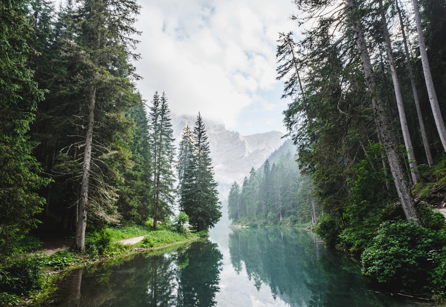 Environment