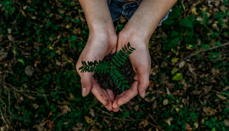 Compostable