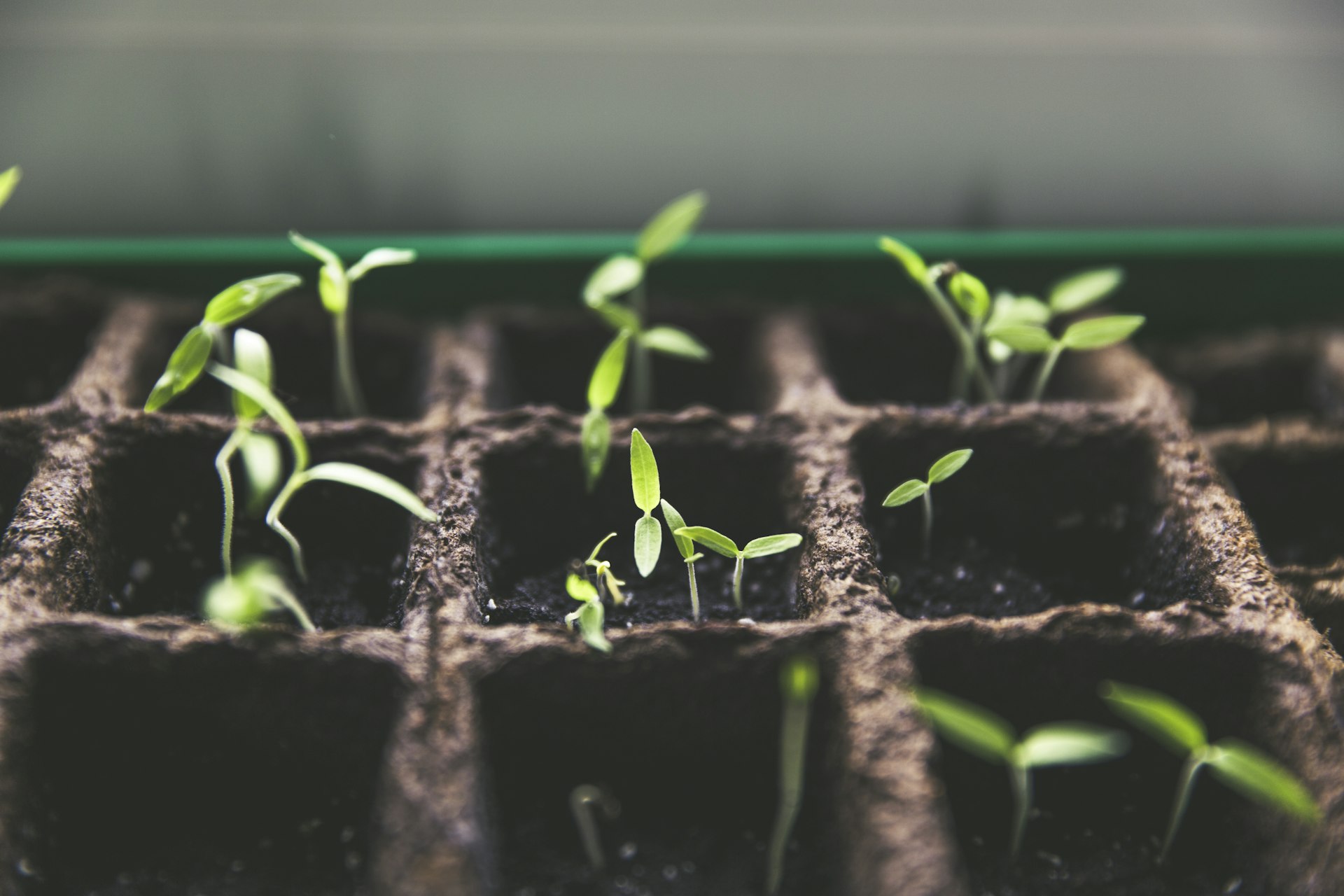 Sustainability