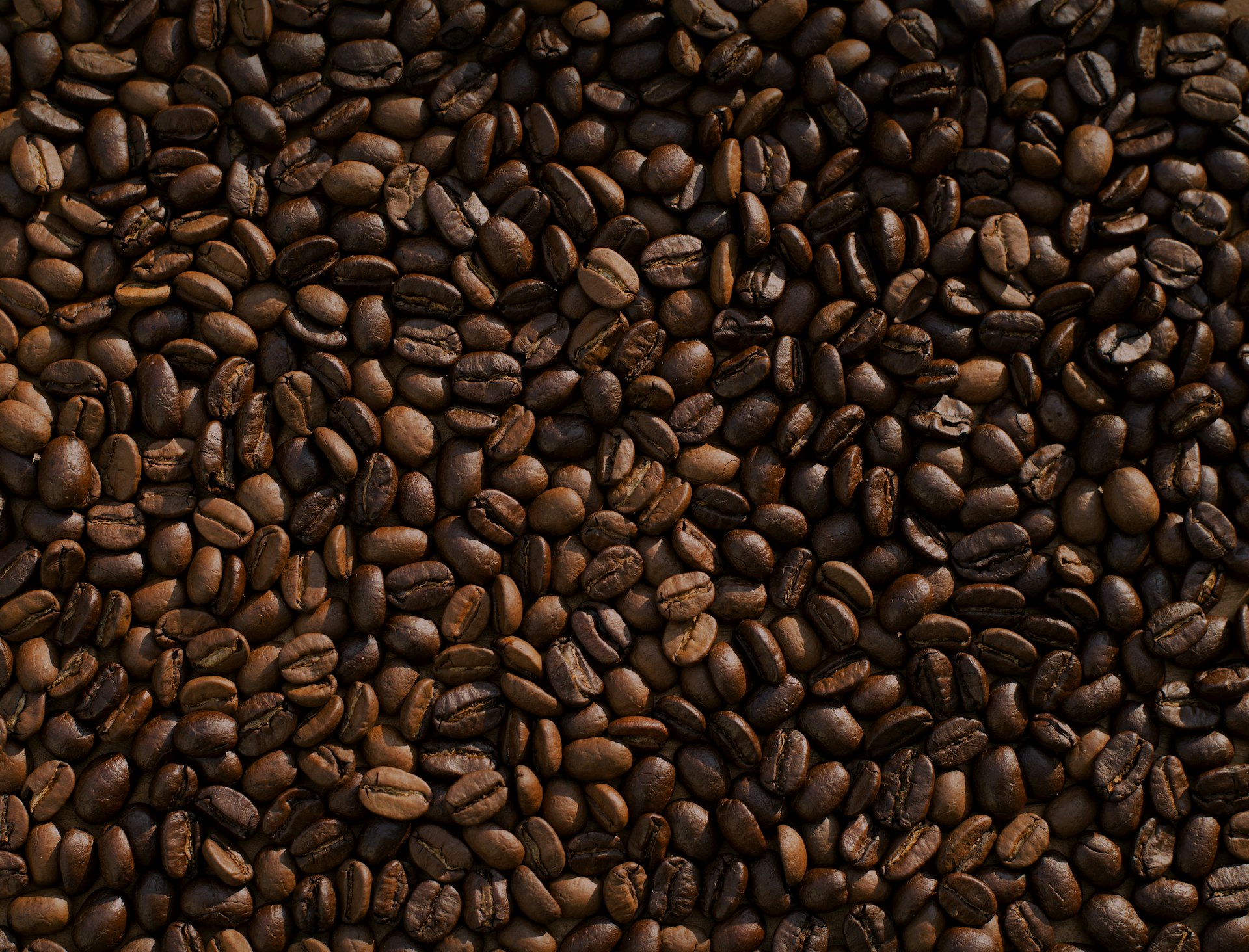 Products banner